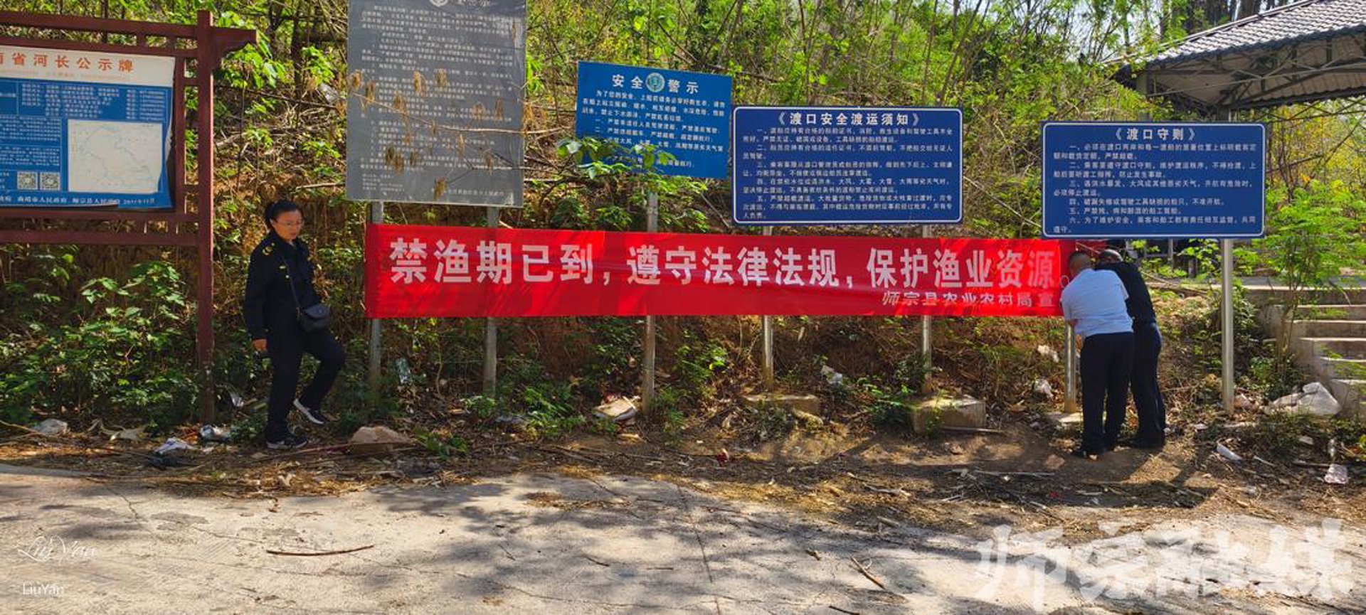 舟壶捆详花木